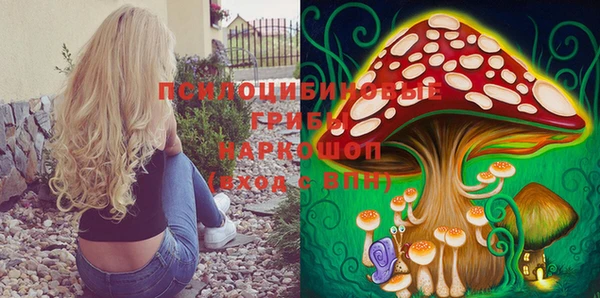 тгк Осташков