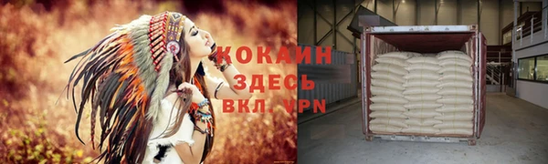 стафф Осинники