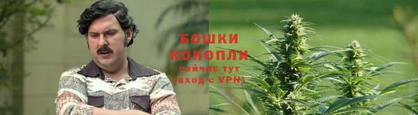 тгк Осташков
