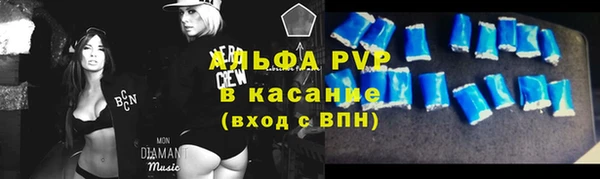 стафф Осинники