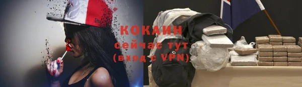 мдпв Щёлкино