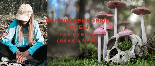 тгк Осташков